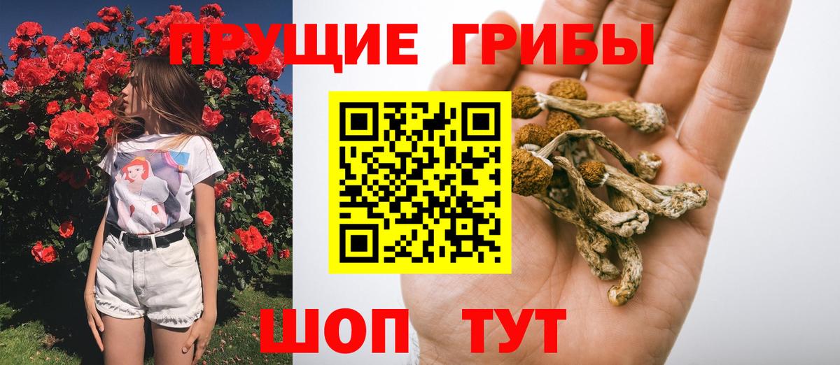 Галлюциногенные грибы GOLDEN TEACHER  Вход с VPN  Кумертау 